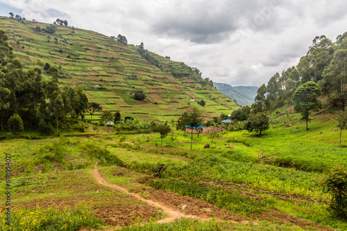 Lush landscape near Bunyonyi lake  Uganda