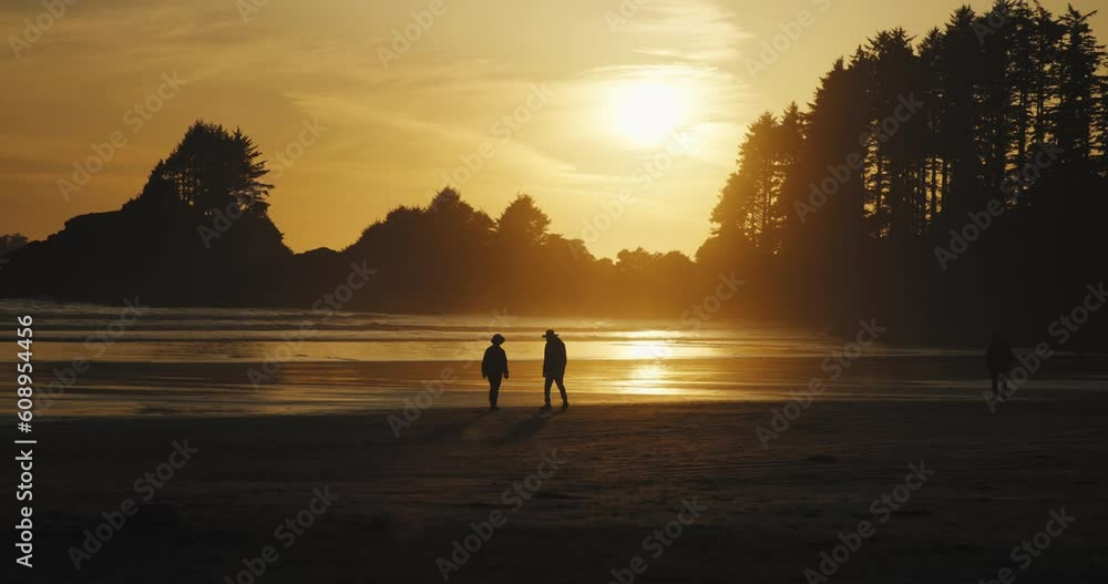 Silhouettes of people walking on a scenic beach at sunset Silhouettes of people walking on a scenic beach at sunset
