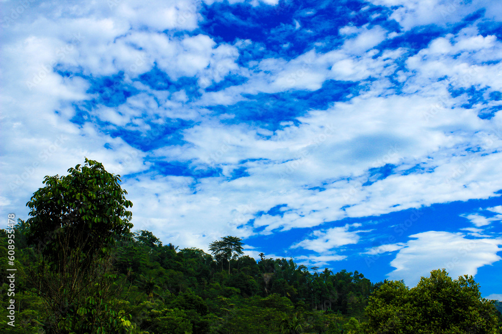 Tranquil nature scene with blue sky, clouds, and trees Tranquil nature scene with blue sky, clouds, and trees