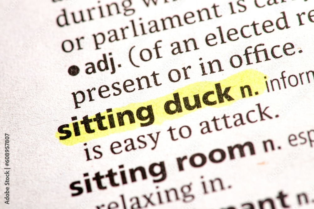 close up photo of the words sitting duck close up photo of the words sitting duck