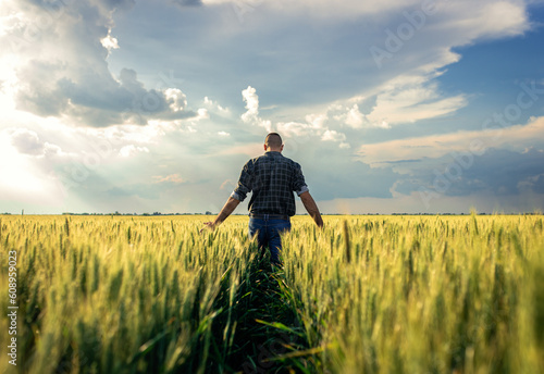 Rear view of young farmer walking in a green wheat field examining crop. © Zoran Zeremski