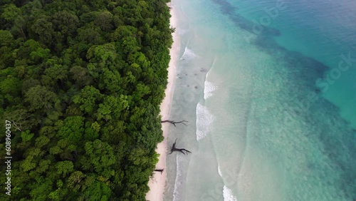 Aerial view of Island coastline.
The Andaman Islands are home to a number of animals, many of them endemic. AndamanNicobar islands are home to 10% of all Indian fauna species.