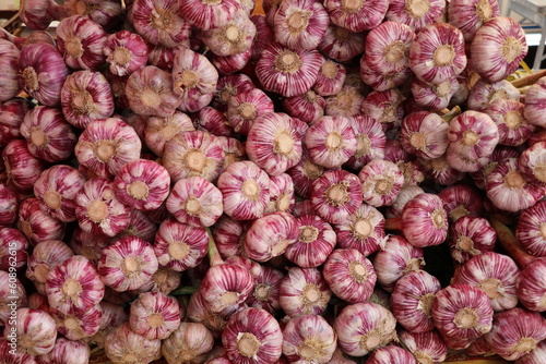 large pile of pink garlic bulbs photo