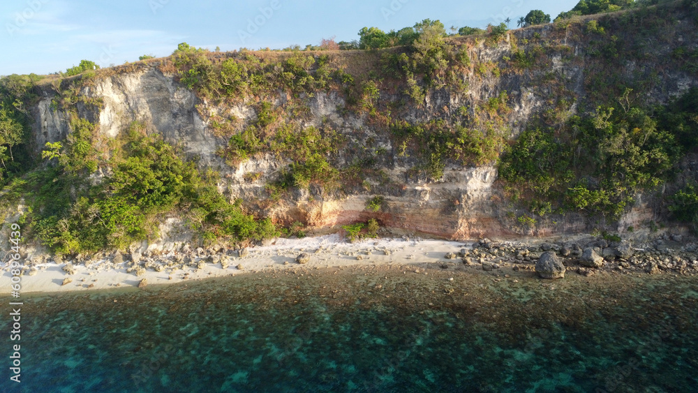 Rocky coast of a tropical island. View of a steep cliff covered with tropical plants, a sandy beach and the sea.