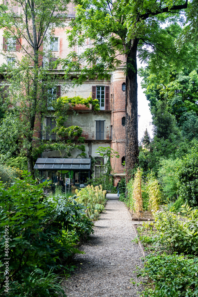 Fototapeta premium Plants and trees in the Botanical garden of Brera (in Italian