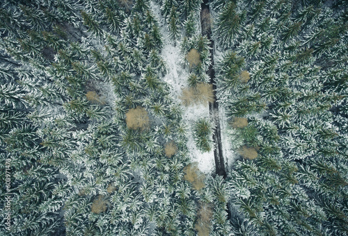 Aerial view from above of a snow forest woods ice