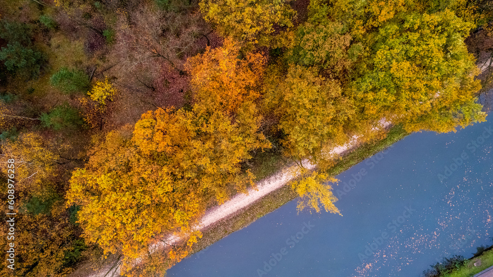 Top view of dark autumnforest landscape wallpaper art. Aerial nature scene of pine trees and road banner design. Countryside path trough coniferous wood form above. Adventure travel background. High