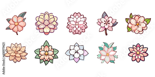 Blooming flower vector set collection graphic clipart design