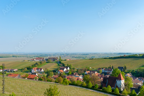 Landschaft mit Weinbergen und Ortsbild von Leinsweiler, im Hintergrund die Oberrheinische Tiefebene. Region Pfalz im Bundesland Rheinland-Pfalz in Deutschland