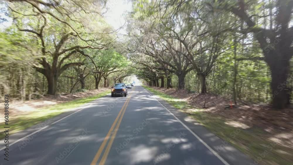 A beautiful 4k drone shot going against the flow of cars in a tunnel of trees on both sides. A beautiful 4k drone shot going against the flow of cars in a tunnel of trees on both sides.