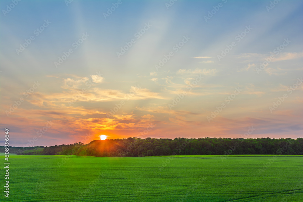 Amazing sunset over forest in green field Amazing sunset over forest in green field