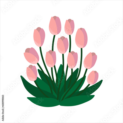 Fototapeta Naklejka Na Ścianę i Meble -  Delicate pink tulips isolated in flat cartoon design. Seasonal spring flowers