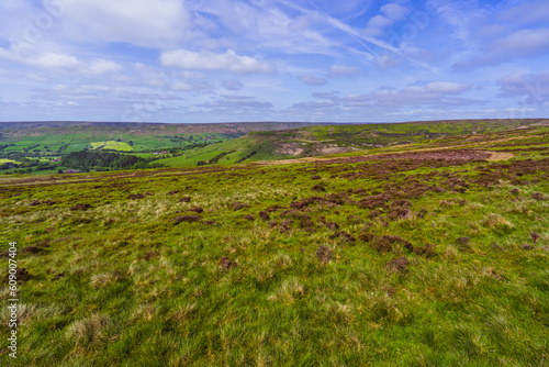 Fototapeta Naklejka Na Ścianę i Meble -  View across the Heather Moorland in Farndale, North Yorkshire Moors National Park, UK