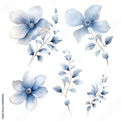 Set of floral watecolor silver and grey. flowers and leaves. Floral poster, invitation floral. Vector arrangements for greeting card or invitation design	