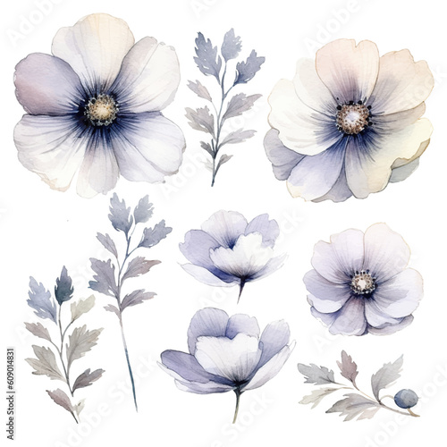 Set of floral watecolor silver and grey. flowers and leaves. Floral poster, invitation floral. Vector arrangements for greeting card or invitation design	