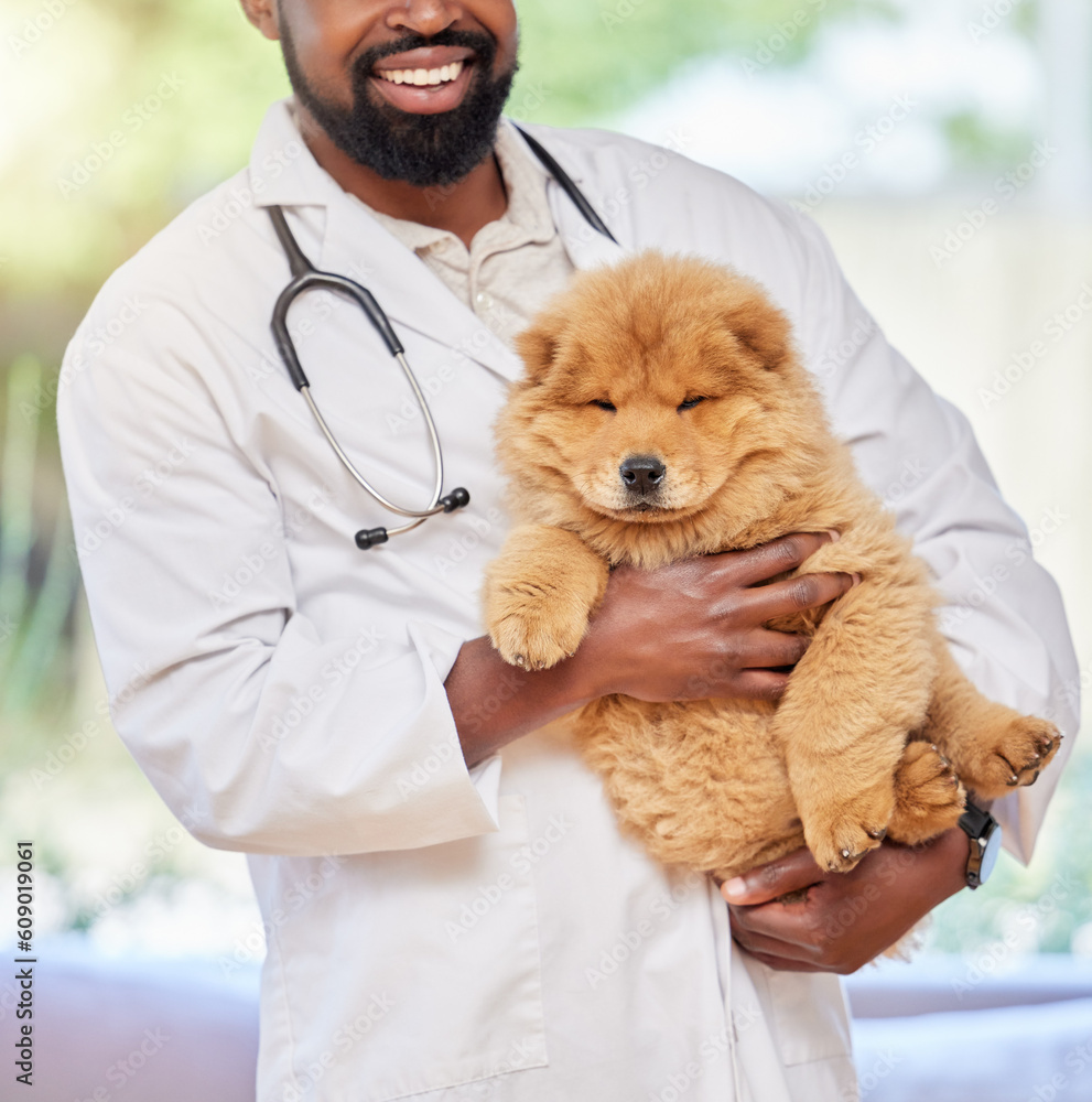 Black online dog vet