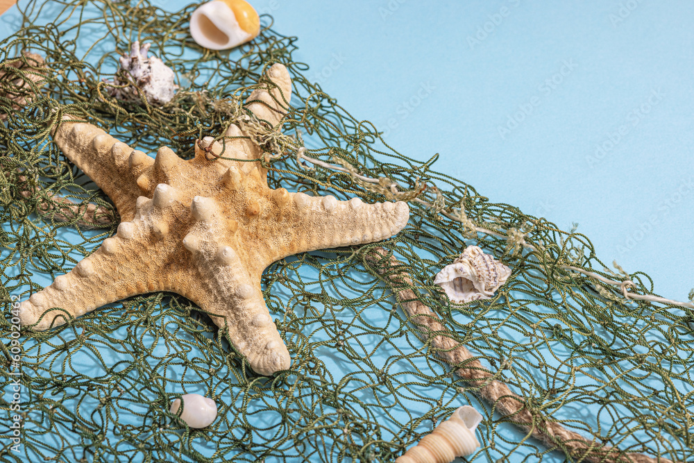 Blue nautical background with sea shells, starfishes and fishing