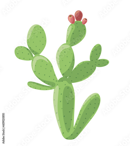 Simple Cactus Nopal Isolated on White