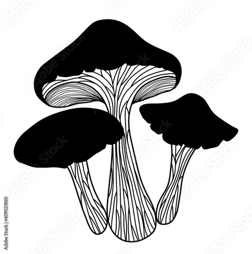 Mushrooms, mushroom silhouette, vector illustration.