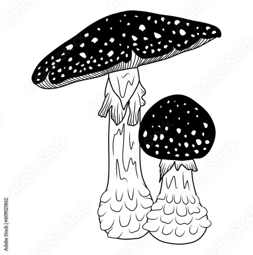 Mushrooms, mushroom silhouette, vector illustration.