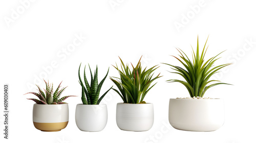Beautiful plants in ceramic pots, transparent background PNG