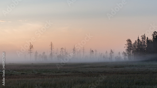 Foggy Martimoaapa marsh in summer night at Finnish Lapland