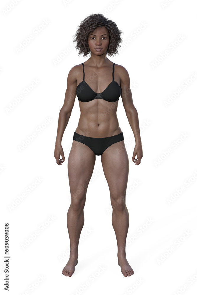 A 3D illustration of a female body with mesomorph body type A 3D illustration of a female body with mesomorph body type