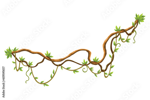 Twisted wild lianas branches banner. Jungle vine plants. Woody natural tropical rainforest, exotic botany. Woody natural branches