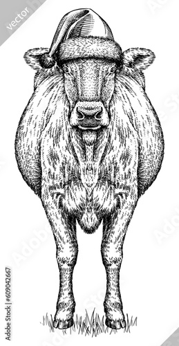 Vintage engraving isolated cow set dressed christmas illustration ink santa costume sketch. Farm bull background beef animal silhouette new year hat art. Black and white hand drawn vector image