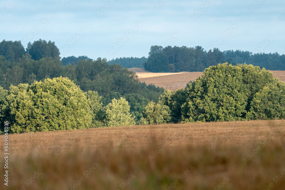 Krajobraz kaszubski w północnej Polsce z polami - obrazy, fototapety, plakaty 