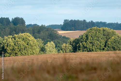 Krajobraz kaszubski w północnej Polsce z polami