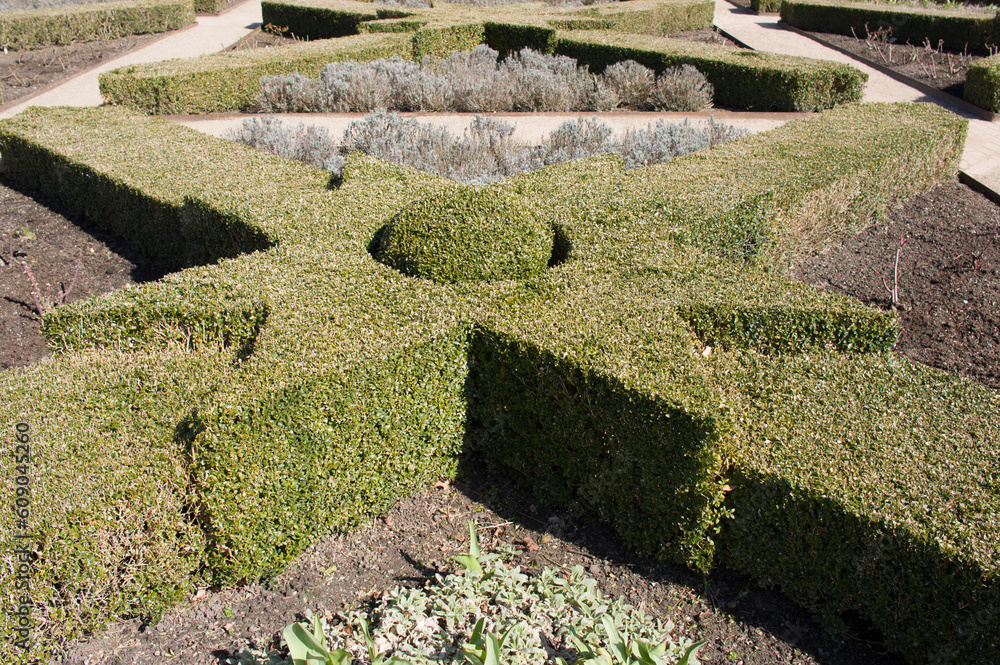 Closeup of a x shaped bush in a beautiful garden by Rosenborg castle in Copenhagen in Denmark Closeup of a x shaped bush in a beautiful garden by Rosenborg castle in Copenhagen in Denmark