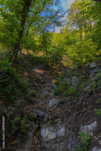 off-piste trail in a walk in the Como mountains in the province of Menaggio