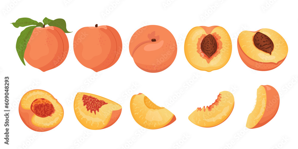 Collection of peach slices and whole fruits. Flat vector peach from different sides.