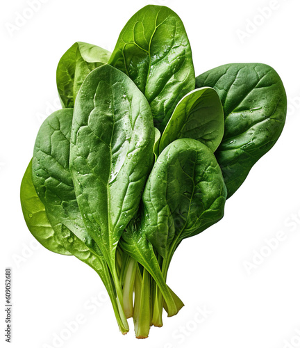 fresh organic spinach leaves on transparent background photo