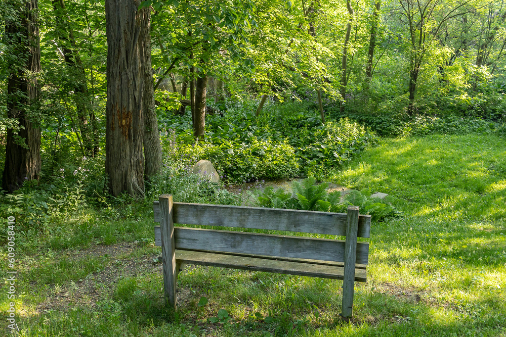 A wooden bench in a shady park in the summer. A wooden bench in a shady park in the summer.