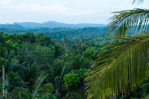 landscape of the mountains in the jungle