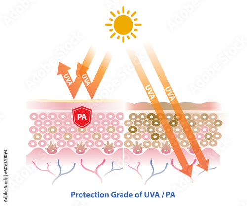 PA (Protection grade of UVA) blocks UVA radiation penetrate into the skin layer vector on white background. Comparison of skin with sunscreen and no sunscreen. Skin care and beauty concept.