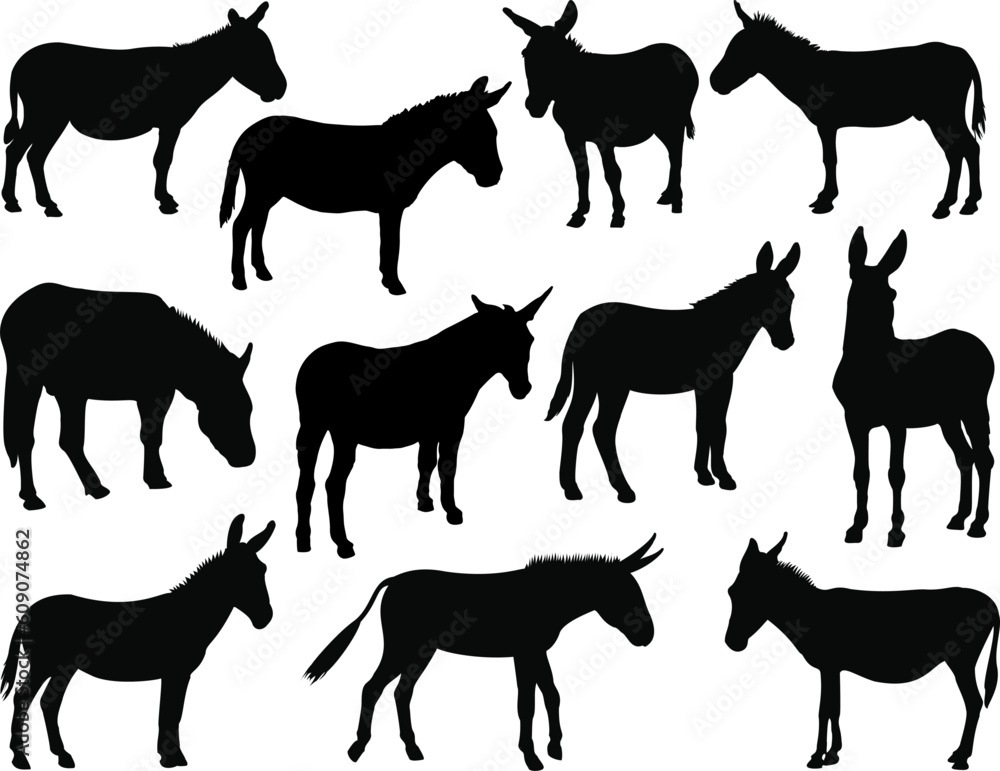 Set of Donkey Silhouette
