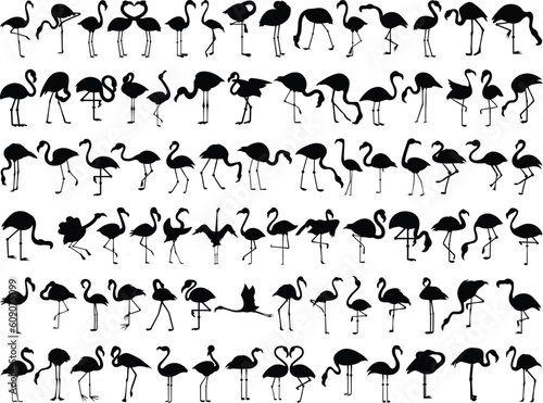 Set of Flamingo Silhouette