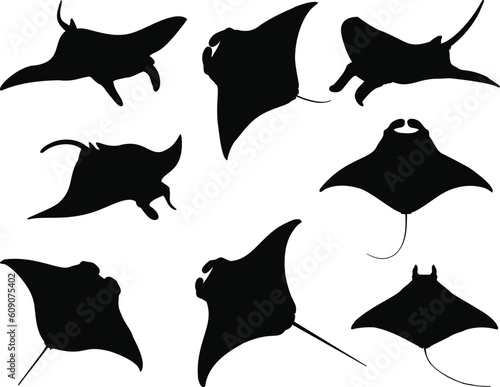 Set of Manta Rays Silhouette, Sea Life, Under the Ocean