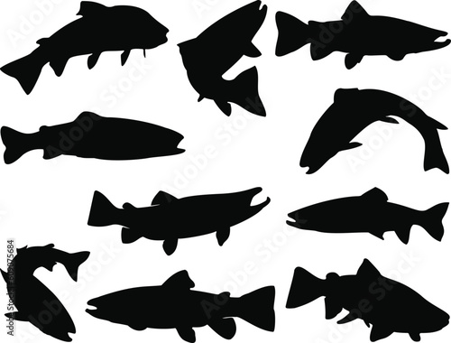 Set of Trout Fish Silhouette, Sea Animals, Under the Ocean