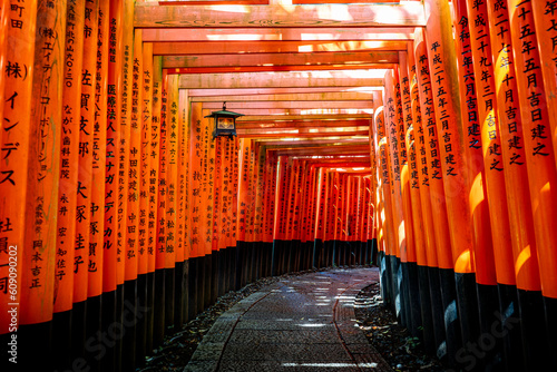 Photography Fushimi Inari Taisha Senbon Torii