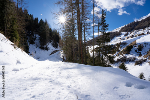 Wallpaper Mural Winter scene at Resia Lake  with sunken gray steeple. Resia Lake is an artificial lake located in the western portion of South Tyrol, Italy, near the Resia Pass. Torontodigital.ca