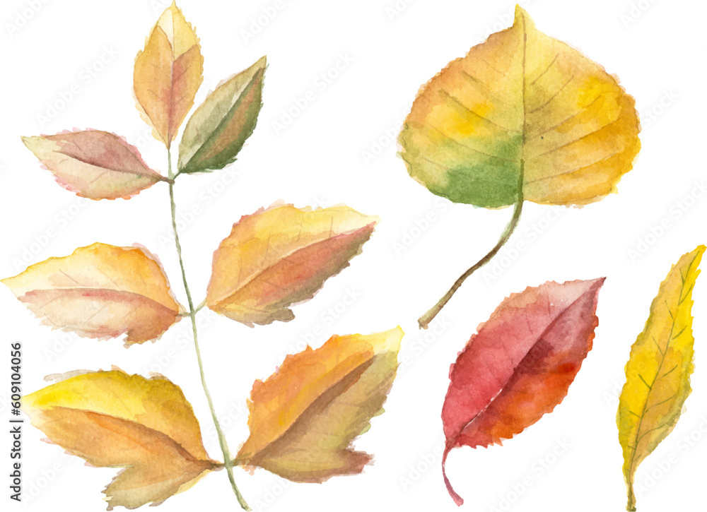 Watercolor autumn leaves isolated on white Watercolor autumn leaves isolated on white