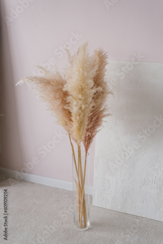 Pampas grass cortaderia in a glass vase in the interior of a modern house