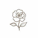 Delicate vector camellia illustrations, showcasing the intricacy of their petals.