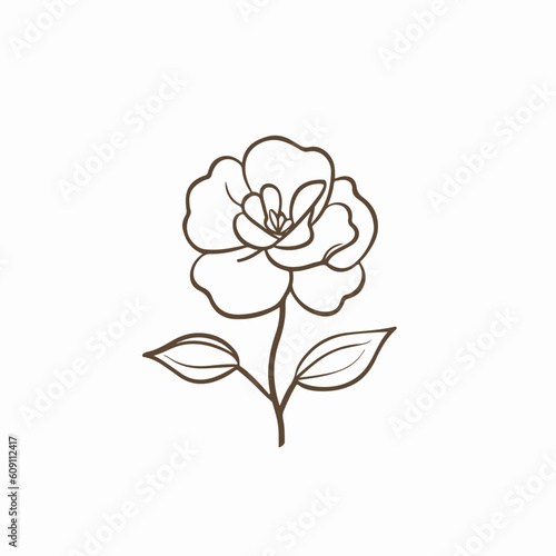 Delicate vector camellia illustrations, showcasing the intricacy of their petals.