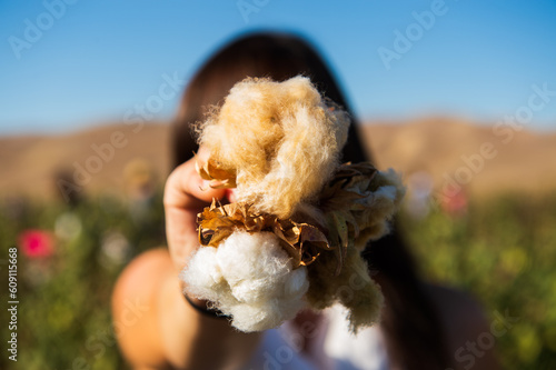 A woman, face obscured, holding a boll of naturally colored cotton in a field, closeup