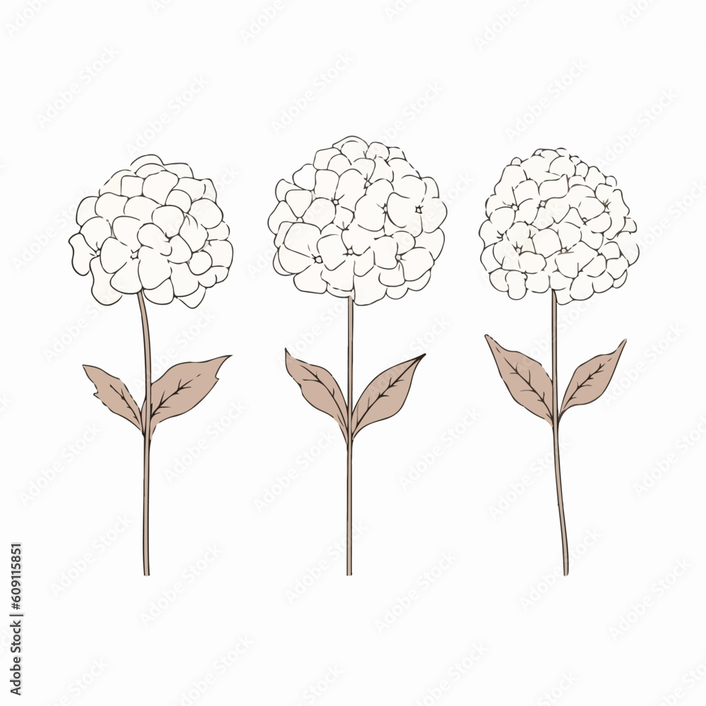 Obraz premium Artistic interpretation of a hydrangea with delicate linework.